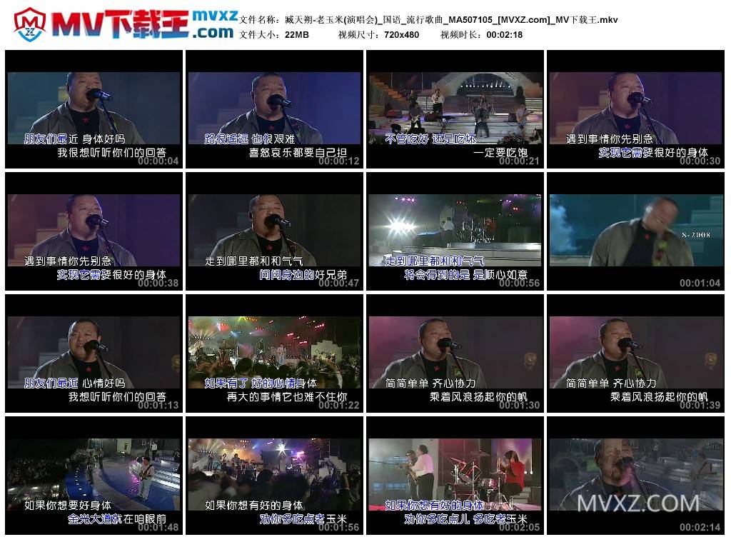 臧天朔-老玉米(演唱会)_国语_流行歌曲_MA507105